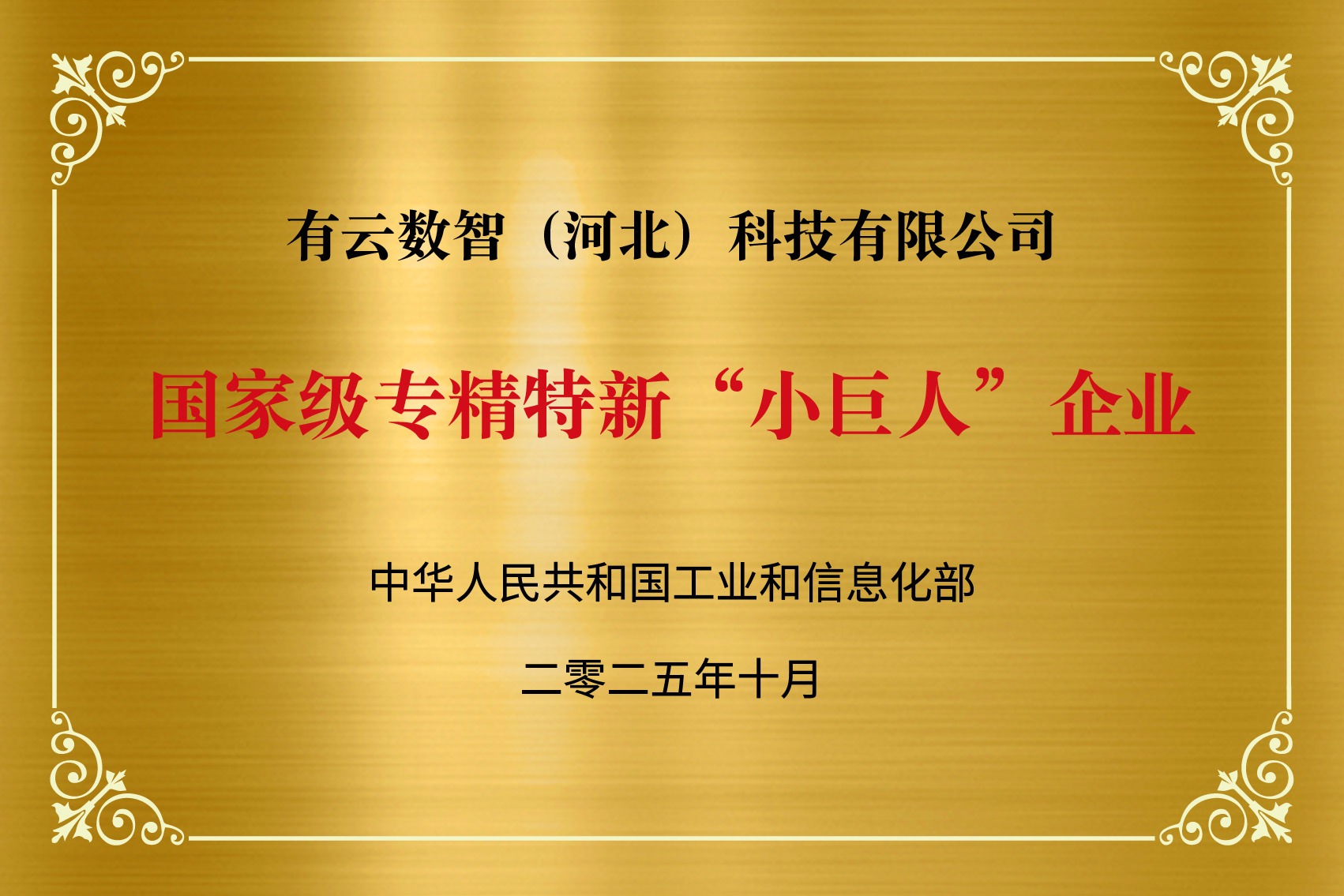 国家级专精特新“小巨人”企业