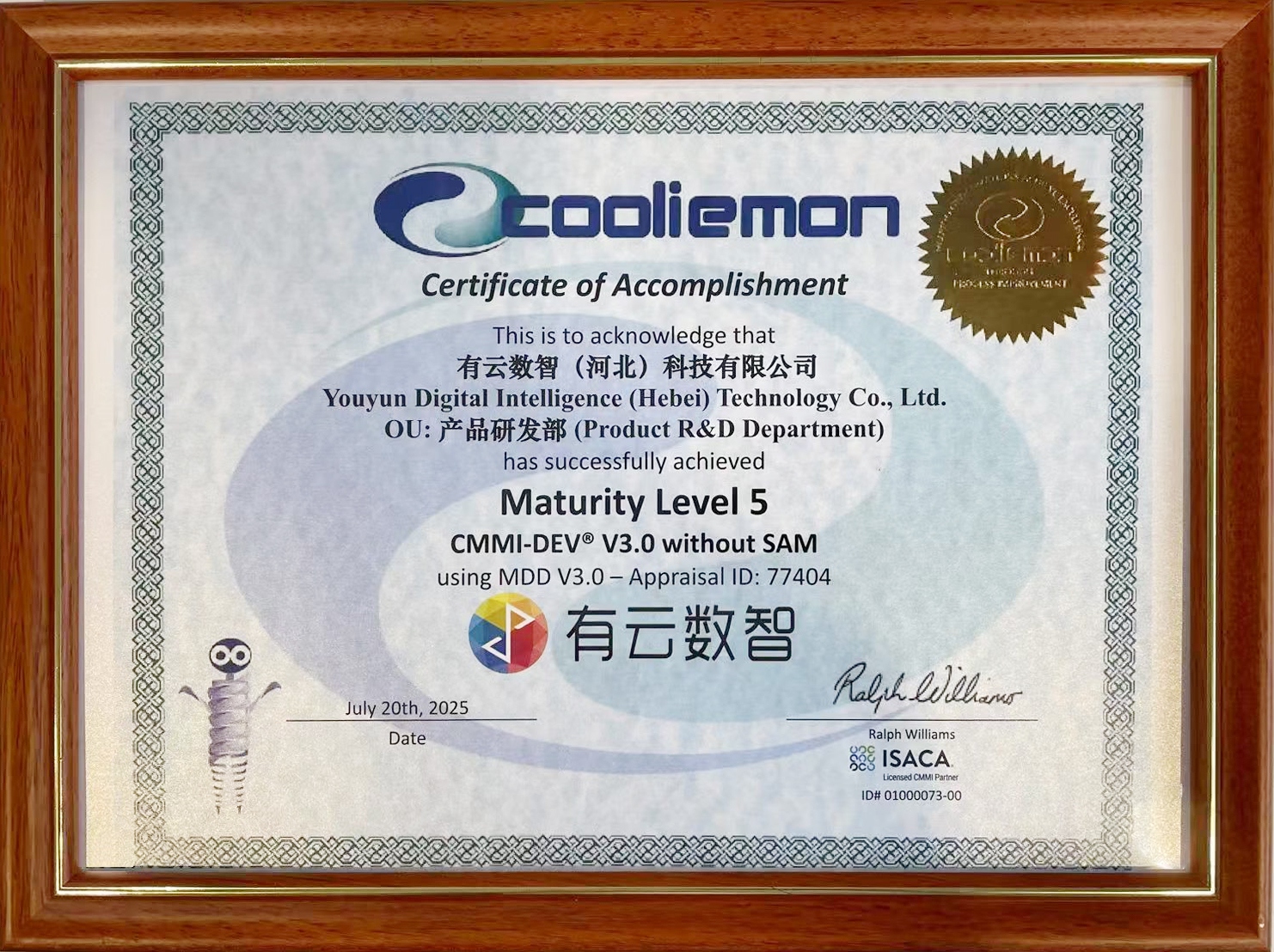 CMMI软件能力成熟度模型集成-5级